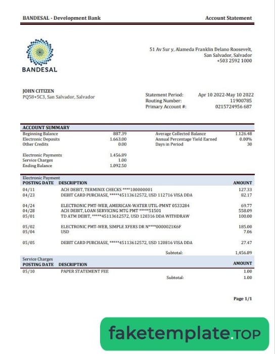 Feature of fake Salvador Bandesal Bank statement